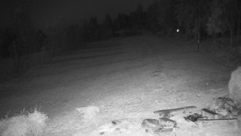 Snímek 7.11.2025 v 20:00