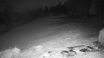 Snímek 8.11.2025 v 05:00