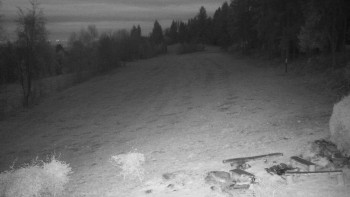 Snímek    8.11.2025 v 17:00