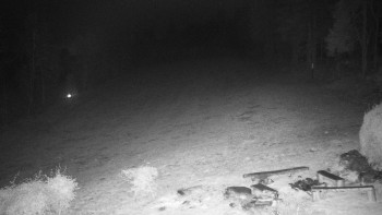 Snímek    8.11.2025 v 20:30