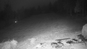 Snímek    9.11.2025 v 03:30