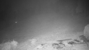 Chata Myslivna SKP Olomouc - Běžecký lyžařský areál Nová Ves - 9.11.2025 v 04:30 Chata Myslivna SKP Olomouc - Běžecký lyžařský areál Nová Ves - 9.11.2025 v 04:30