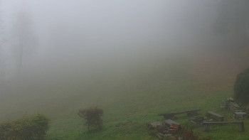 Snímek 9.11.2025 v 08:30