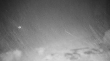 Snímek 9.11.2025 v 21:00