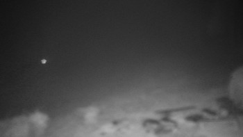 Snímek 9.11.2025 v 22:30