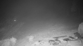 Snímek 10.11.2025 v 00:00