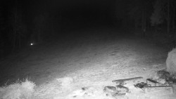 Běžecký lyžařský areál Nová Ves