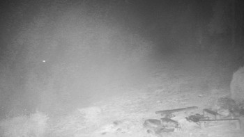 Snímek 12.11.2025 v 23:30