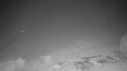 Běžecký lyžařský areál Nová Ves