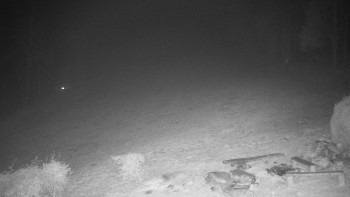 Snímek 13.11.2025 v 17:30