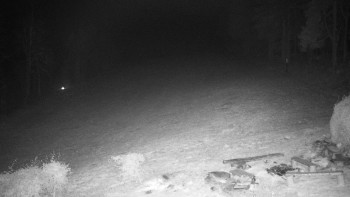 Snímek    13.11.2025 v 21:30