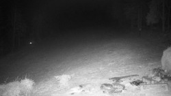 Běžecký lyžařský areál Nová Ves