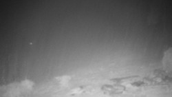 Běžecký lyžařský areál Nová Ves