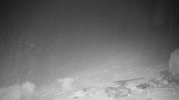 Snímek    14.11.2025 v 03:00