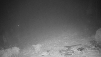 Snímek    14.11.2025 v 04:00