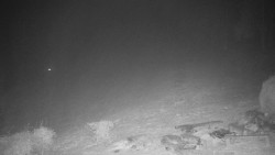 Běžecký lyžařský areál Nová Ves