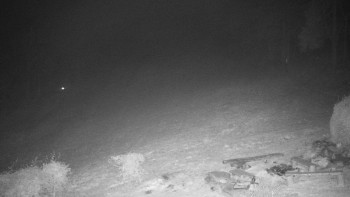 Snímek 14.11.2025 v 05:30