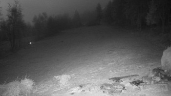 Snímek    14.11.2025 v 06:00