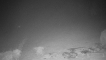 Snímek 14.11.2025 v 17:30