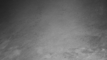 Snímek 15.11.2025 v 06:00