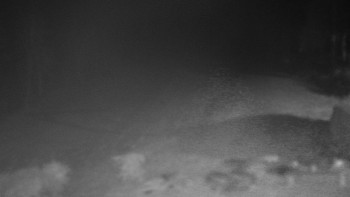 Snímek 15.11.2025 v 18:30