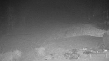 Snímek    15.11.2025 v 19:30