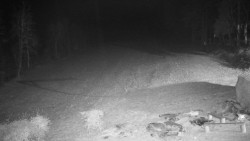 Běžecký lyžařský areál Nová Ves