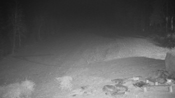 Snímek 15.11.2025 v 20:30