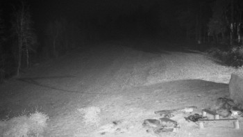 Snímek 16.11.2025 v 01:00