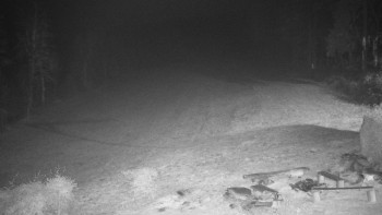 Snímek 16.11.2025 v 05:00