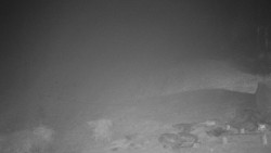 Běžecký lyžařský areál Nová Ves