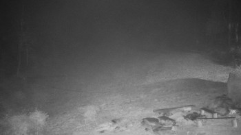 Snímek 17.11.2025 v 03:30