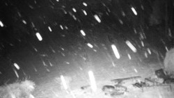 Běžecký lyžařský areál Nová Ves