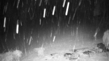 Snímek 17.11.2025 v 18:00