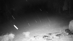 Běžecký lyžařský areál Nová Ves