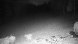 Běžecký lyžařský areál Nová Ves