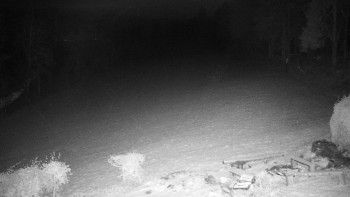 Snímek 17.11.2025 v 23:00