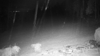 Snímek 18.11.2025 v 01:00