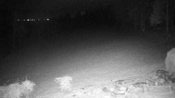 Snímek 18.11.2025 v 04:00