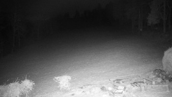 Snímek 18.11.2025 v 05:00