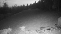 Běžecký lyžařský areál Nová Ves