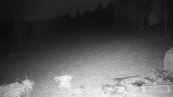 Snímek 18.11.2025 v 17:30