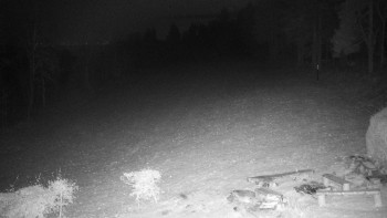 Snímek 18.11.2025 v 19:30