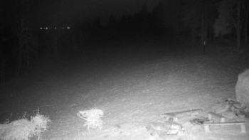 Snímek    19.11.2025 v 03:30