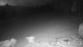 Snímek 19.11.2025 v 06:00