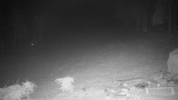 Běžecký lyžařský areál Nová Ves