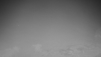 Snímek    20.11.2025 v 19:30