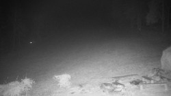 Běžecký lyžařský areál Nová Ves