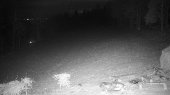 Snímek    21.11.2025 v 05:30