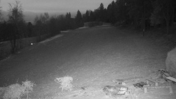 Snímek    21.11.2025 v 06:30